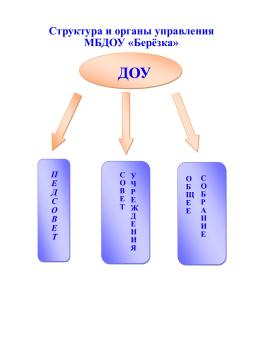 Федеральный закон от 29.12.2012 N 273-ФЗ (ред. от 28.12.2024) "Об образовании в Российской Федерации"  Статья 26. Управление образовательной организацией п.5

Структура, порядок формирования, срок полномочий и компетенция органов управления образовательной организацией, порядок принятия ими решений и выступления от имени образовательной организации устанавливаются уставом образовательной организации в соответствии с законодательством Российской Федерации.